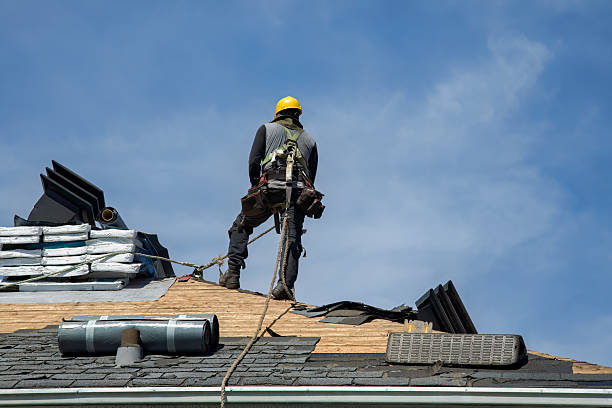 Professional Storm Damage Roof Repair technician working in West Park, FL